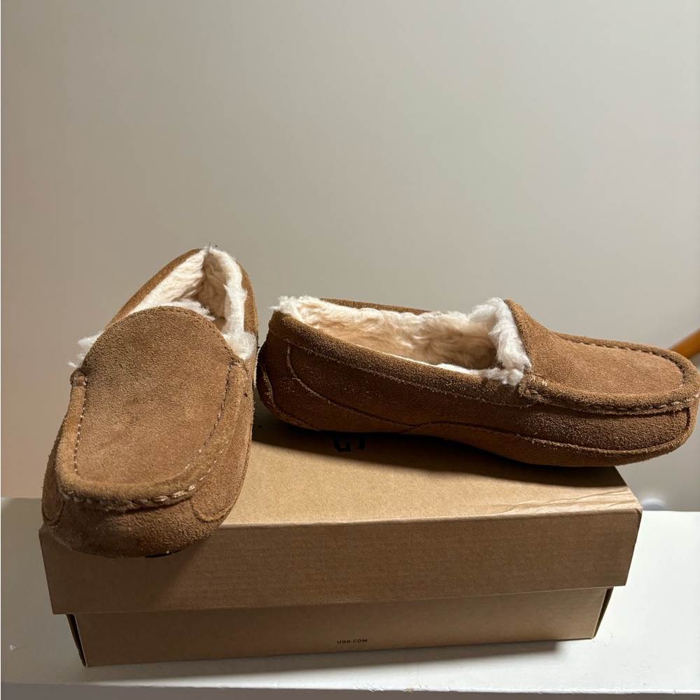 UGG Ascot Slipper (Chestnut)